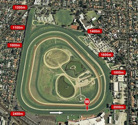 caulfield races results today|Form Guide, Barrier Stats, Tips and Results .